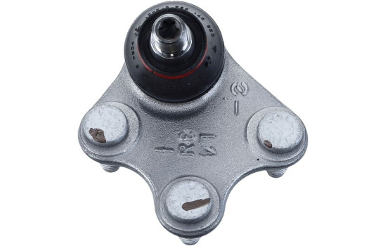 Rótula, Imagen 6