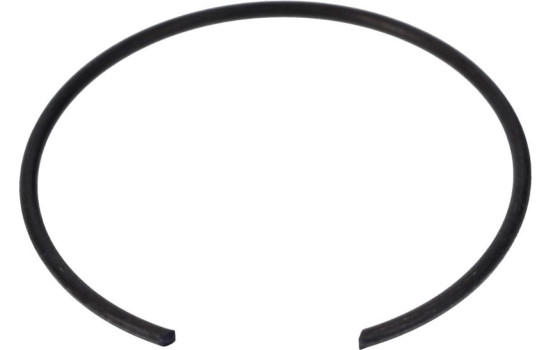 Rótula, Imagen 4