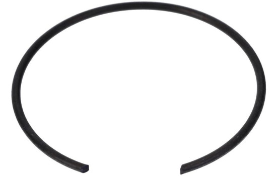 Rótula, Imagen 4