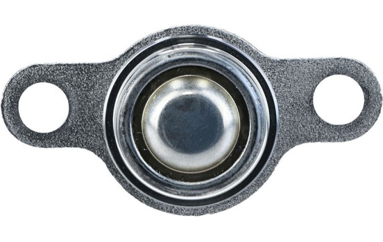Rótula, Imagen 5