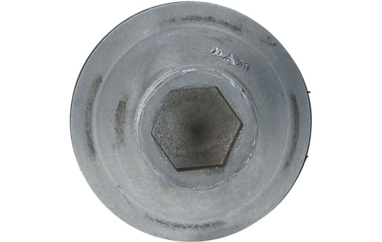 Rótula, Imagen 2