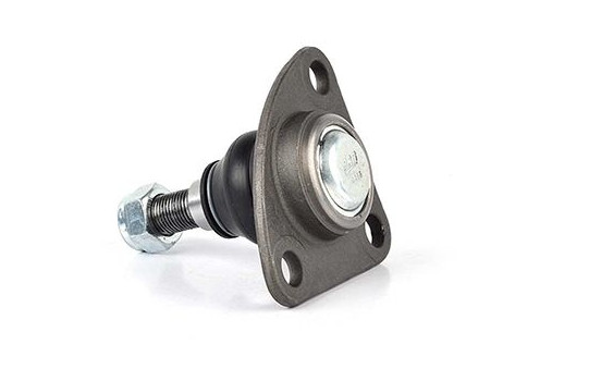Rótula, Imagen 2