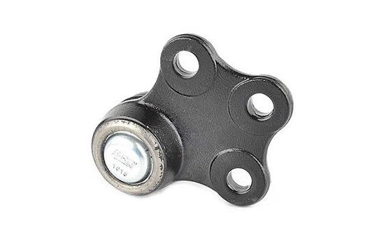 Rótula, Imagen 2