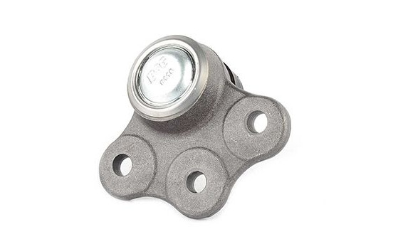 Rótula, Imagen 2