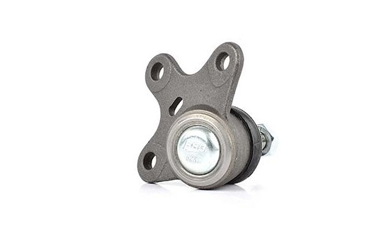 Rótula, Imagen 2
