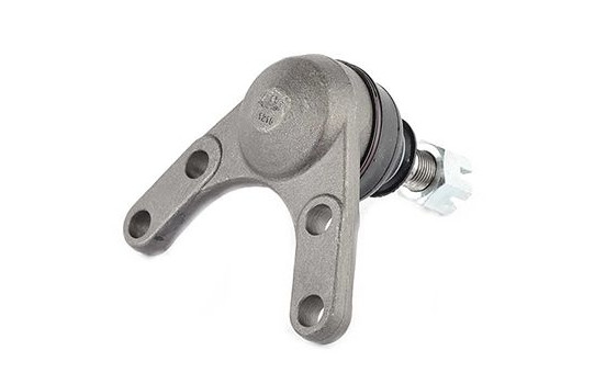 Rótula, Imagen 2