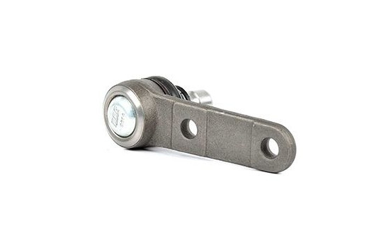 Rótula, Imagen 2