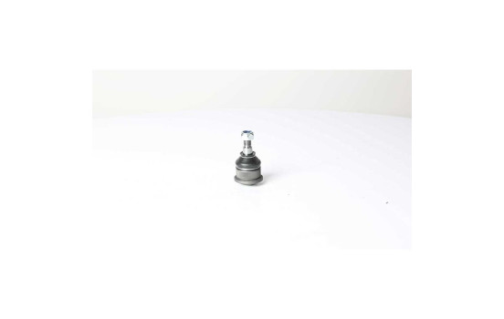 Rótula, Imagen 2