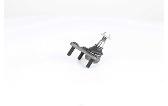 Rótula, Imagen 2