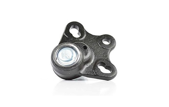 Rótula, Imagen 2