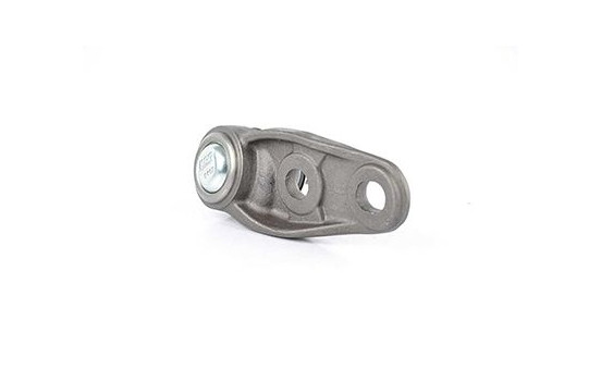 Rótula, Imagen 2