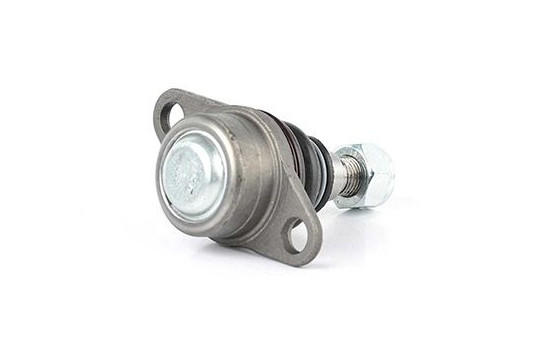 Rótula, Imagen 2