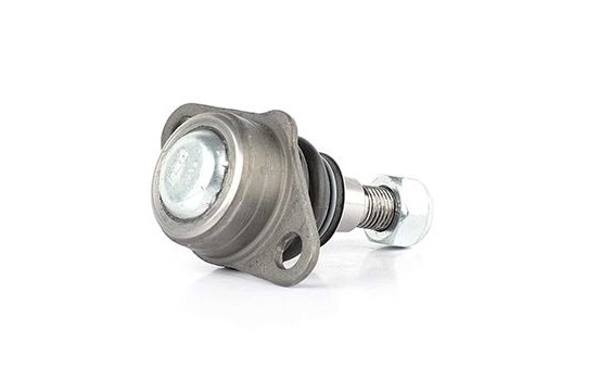 Rótula, Imagen 2