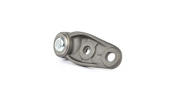 Rótula, Imagen 2