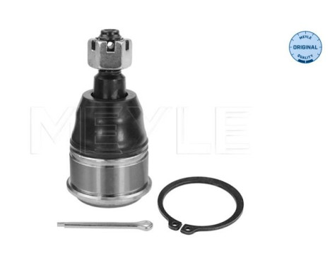 Rótula