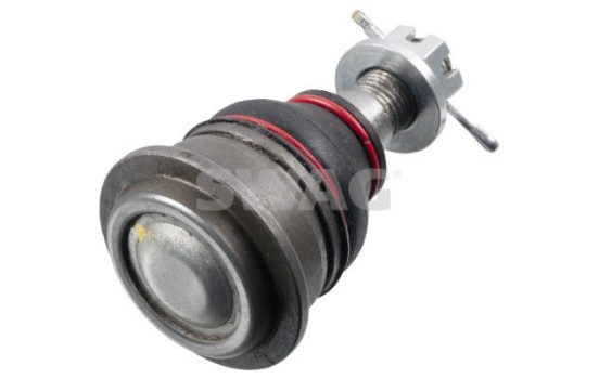 Rótula, Imagen 2
