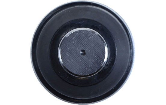 Rótula, Imagen 4