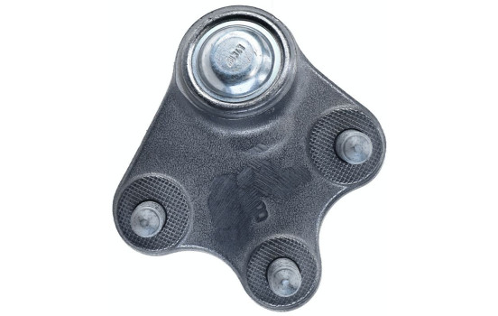 Rótula, Imagen 5