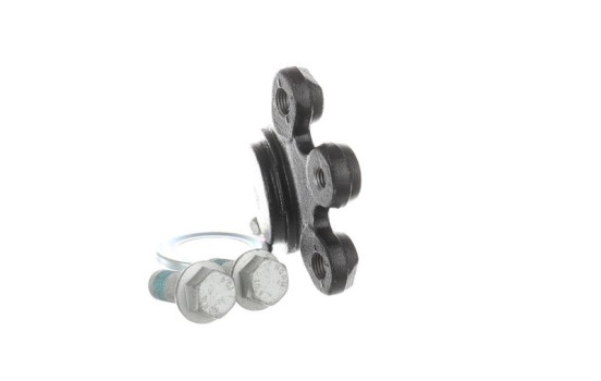 Rótula, Imagen 4