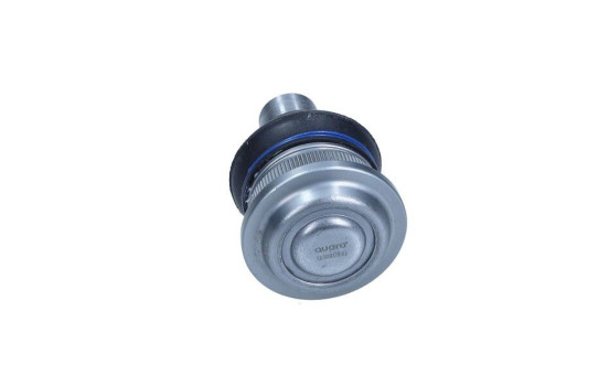Rótula, Imagen 2