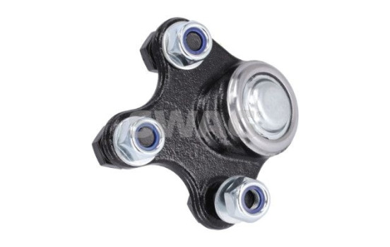 Rótula, Imagen 2