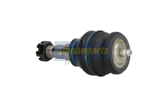 Rótula, Imagen 2