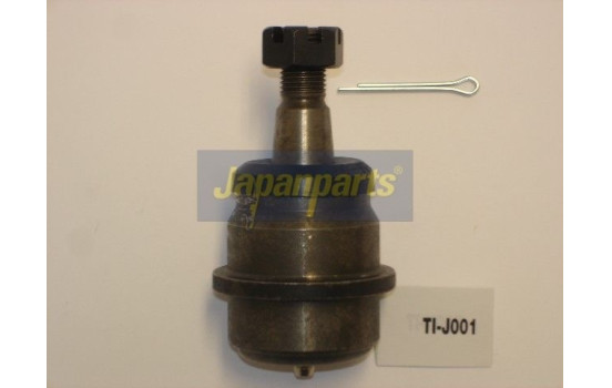 Rótula, Imagen 2