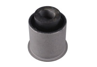 Cojinete del eje trasero