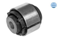 Cojinete del eje trasero