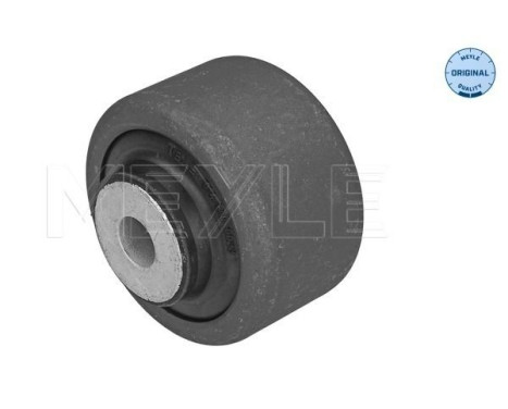 Casquillo de cojinete, brazo de control