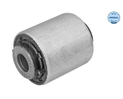 Casquillo de cojinete, brazo de control
