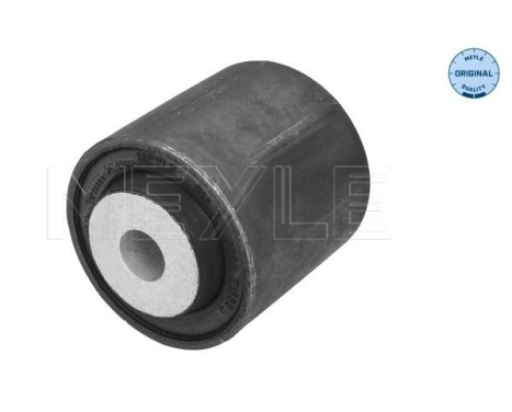 Casquillo de cojinete, brazo de control