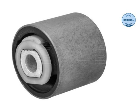 Casquillo de cojinete, brazo de control