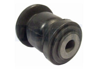 Goma brazo oscilante OND DRIEH WIELDRGARM TD645W Delphi
