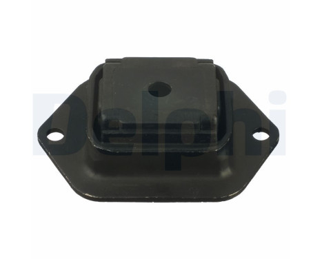 GOMA DE HORQUILLA TD1057W Delphi