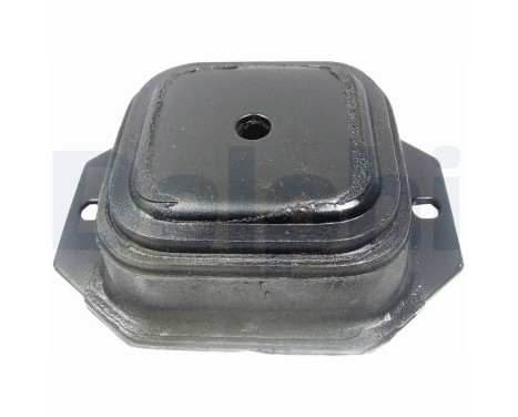 GOMA DE HORQUILLA TD715W Delphi