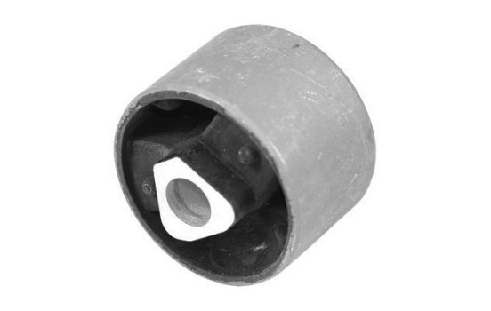 Goma del brazo de control 270061 ABS