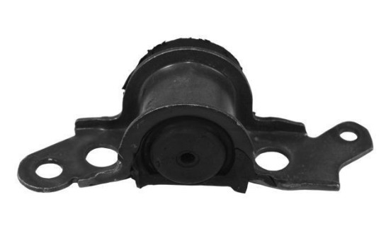 Goma del brazo de control 270102 ABS