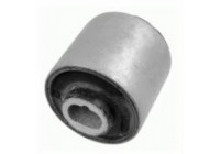 Goma del brazo de control 270579 ABS