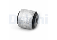 Goma del brazo de control TD1731W Delphi