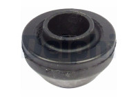 Goma del brazo de control TD749W Delphi