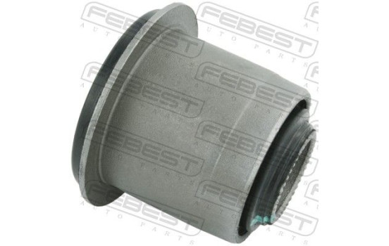 Goma del brazo de control, Imagen 2
