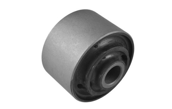 Goma del brazo de control