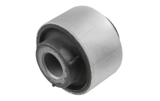 Goma del brazo de control