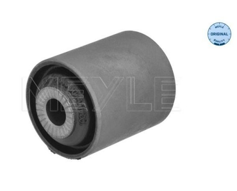 Goma del brazo de control