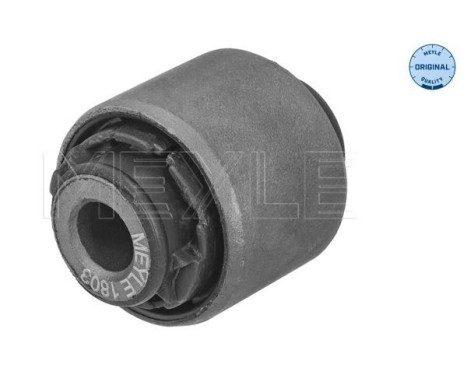 Goma del brazo de control