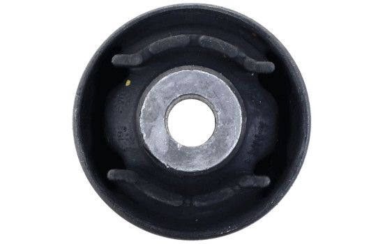 Goma del brazo de control, Imagen 2