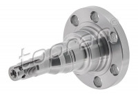 Cono de fresno, cuerpo de fresno