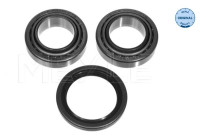 Cojinete de rueda 714 101 9561 Meyle