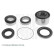 Cojinete de rueda ADC48323 Blue Print, Miniatura 2